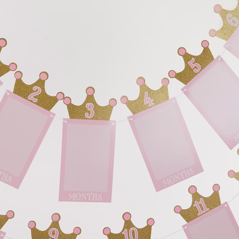 1st Birthday Milestone Photo Banner & Cake Topper - Princess Party - Décor Kit