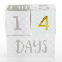 My First Milestone Baby Age Blocks