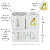 My First Milestone Baby Age Blocks