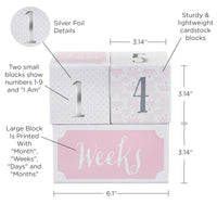 My First Milestone Little Princess Baby Age Blocks
