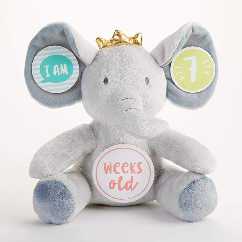 My First Elephant Plush Plus Baby Milestone Markers - Plush Animal