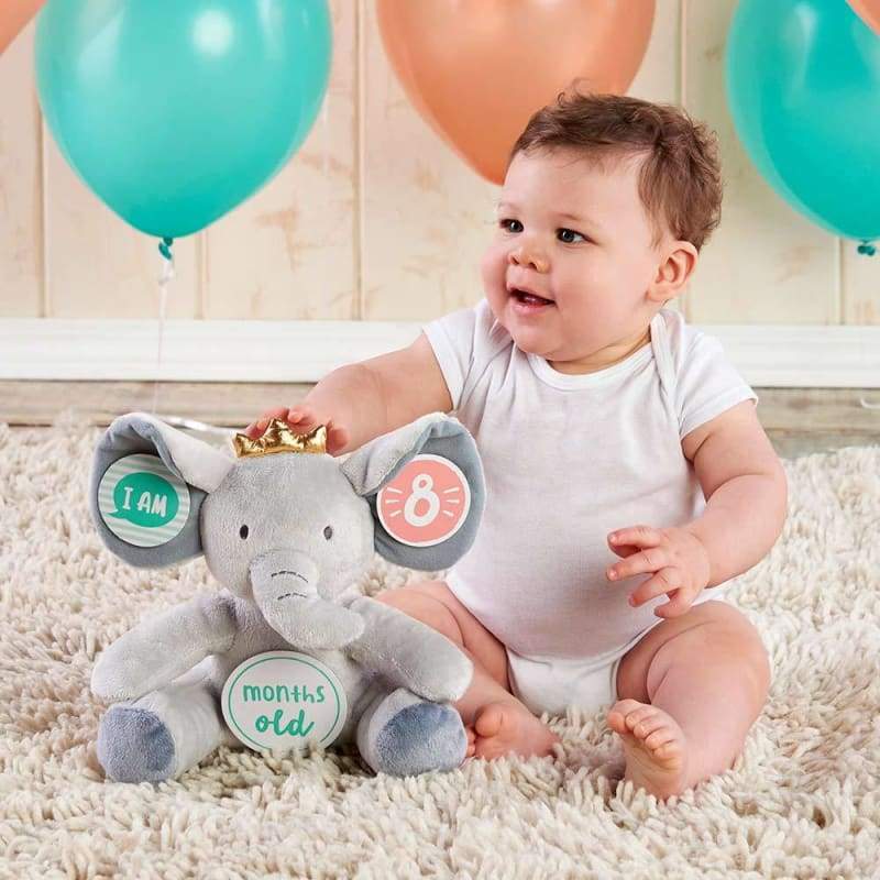 My First Elephant Plush Plus Baby Milestone Markers - Plush Animal