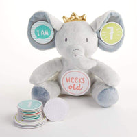 Thumbnail for My First Elephant Plush Plus Baby Milestone Markers - Plush Animal